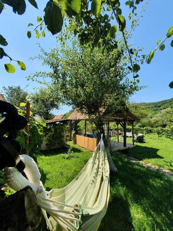Valchid Guest House Exterior photo